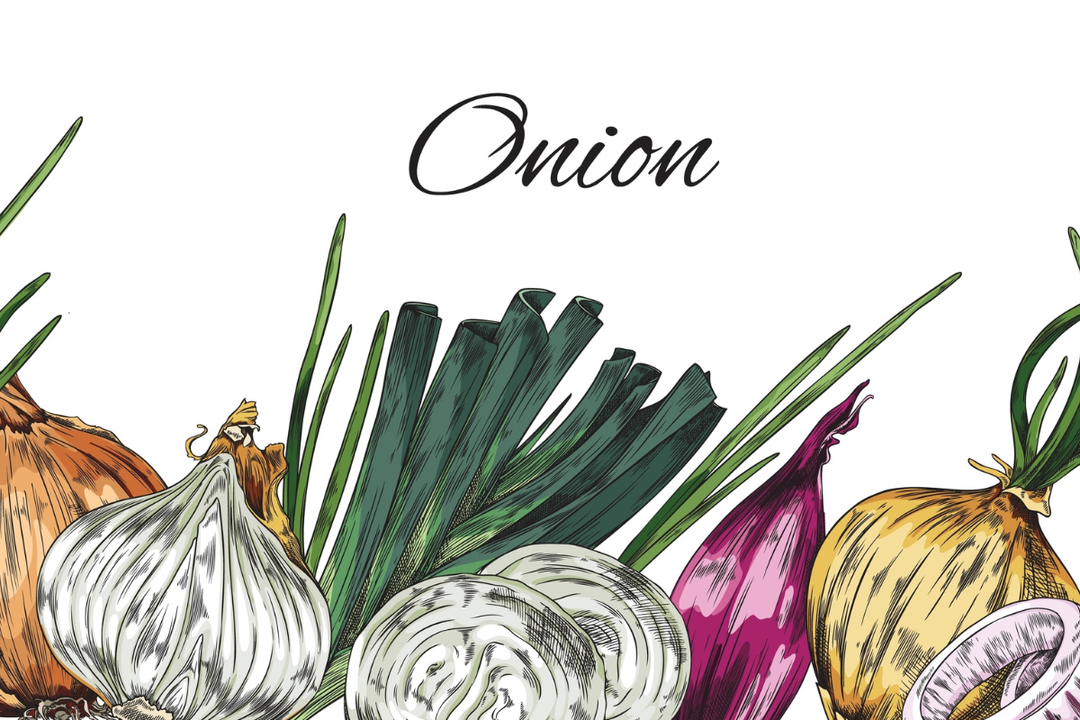 Mastering Onions: Flavor Foundations from Sweet to Sharp