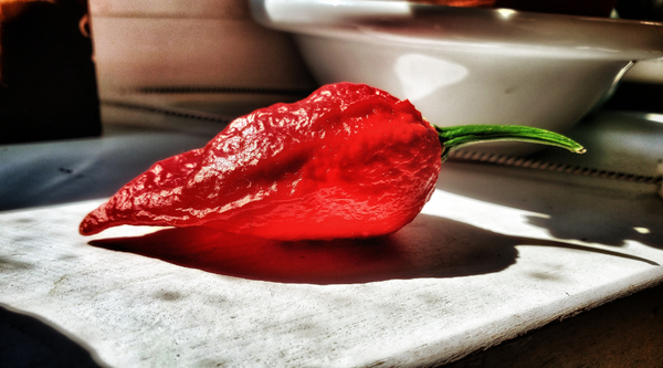 Into the Fire: Exploring the Wonderful World of Ghost Peppers!
